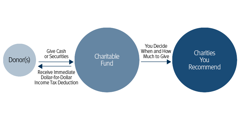 Donor-Advised Funds.png